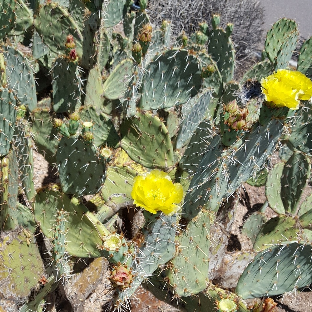 Meet your Posher, Jacki