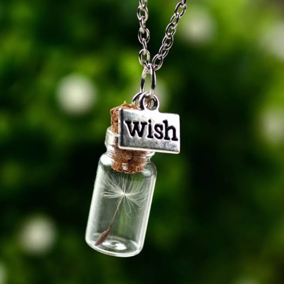 Elegant Jewelry Jewelry - 🔴🆕Dandelion in wish drifting bottle necklace