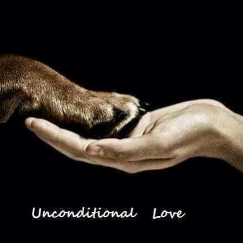 Meet your Posher, Deidre