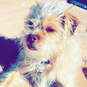 Meet your Posher, Bella