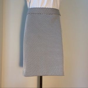 Banana Republic Pencil Skirt