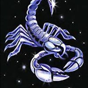 Meet your Posher, Lakesha