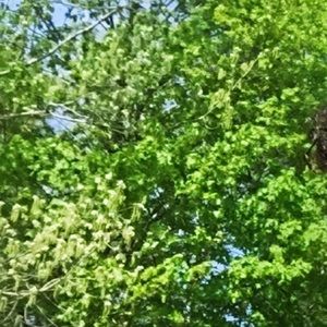 Meet your Posher, Meghan