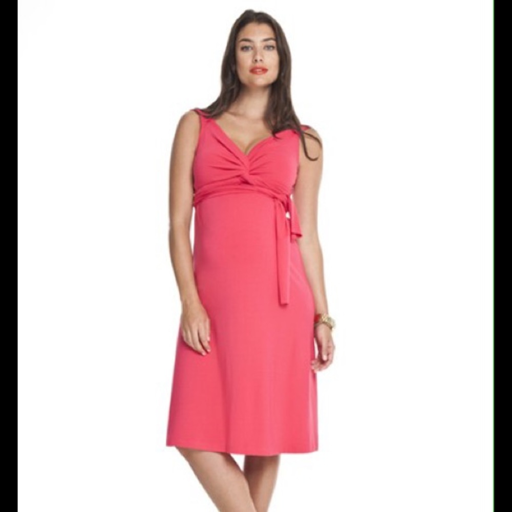 NWT Isabella Oliver Maternity Dress