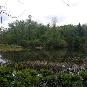 Meet your Posher, Leslie