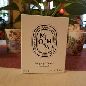 Diptyque 6.5 oz mosa candle