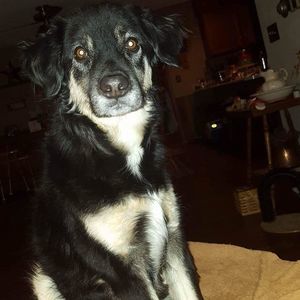 Meet your Posher, Debra