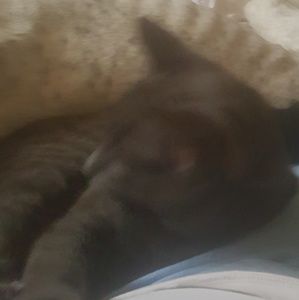 Meet your Posher, Shari