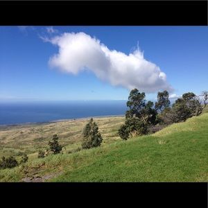 Meet your Posher, Cynthia