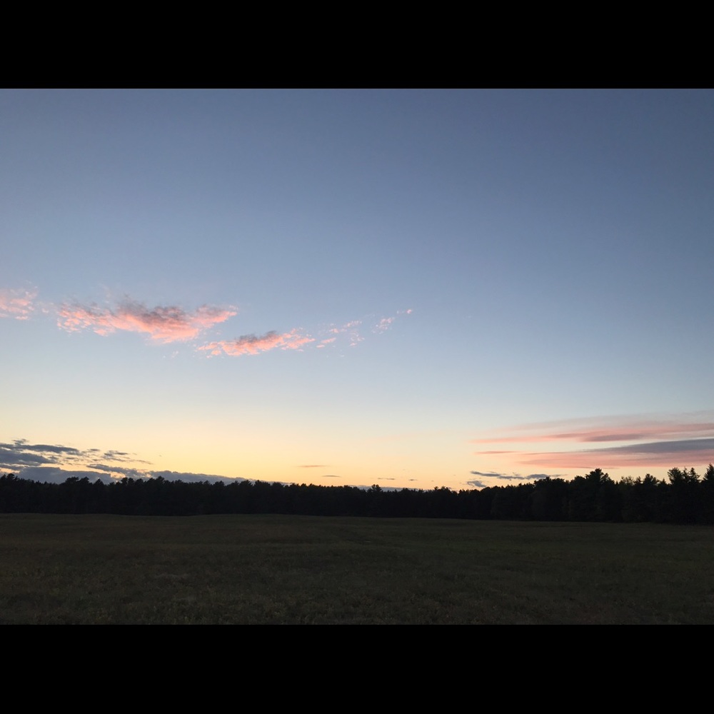 Meet your Posher, Gia