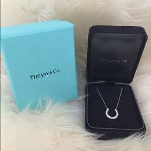 Tiffany & Co. Authentic Horseshoe Diamond Pendant