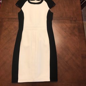 Zara Basic Black and Cream Dress