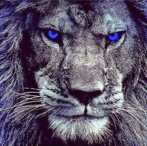 Meet your Posher, Karena