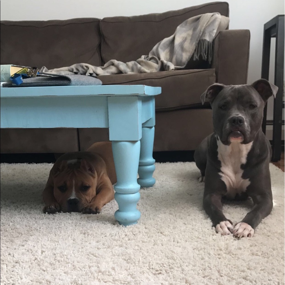 Meet your Posher, Karina