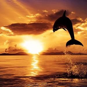 Meet your Posher, Terri