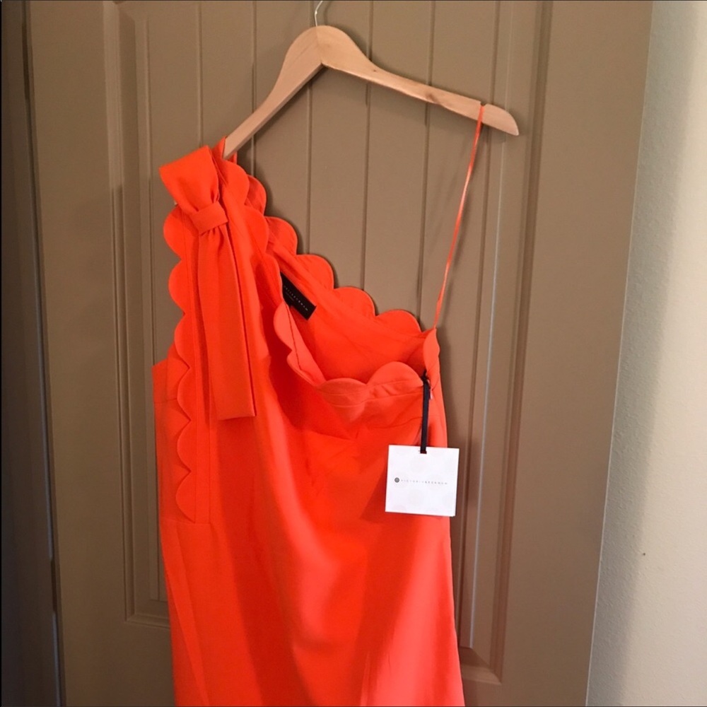 NWT dress size XL .. fits 14-16 size fits 38 bust