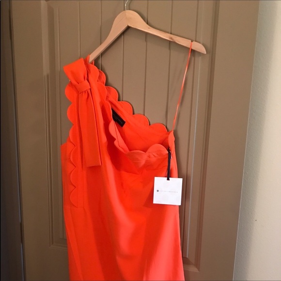 NWT dress size XL .. fits 14-16 size fits 38 bust - Picture 1 of 4
