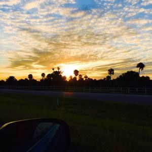 Meet your Posher, Patricia