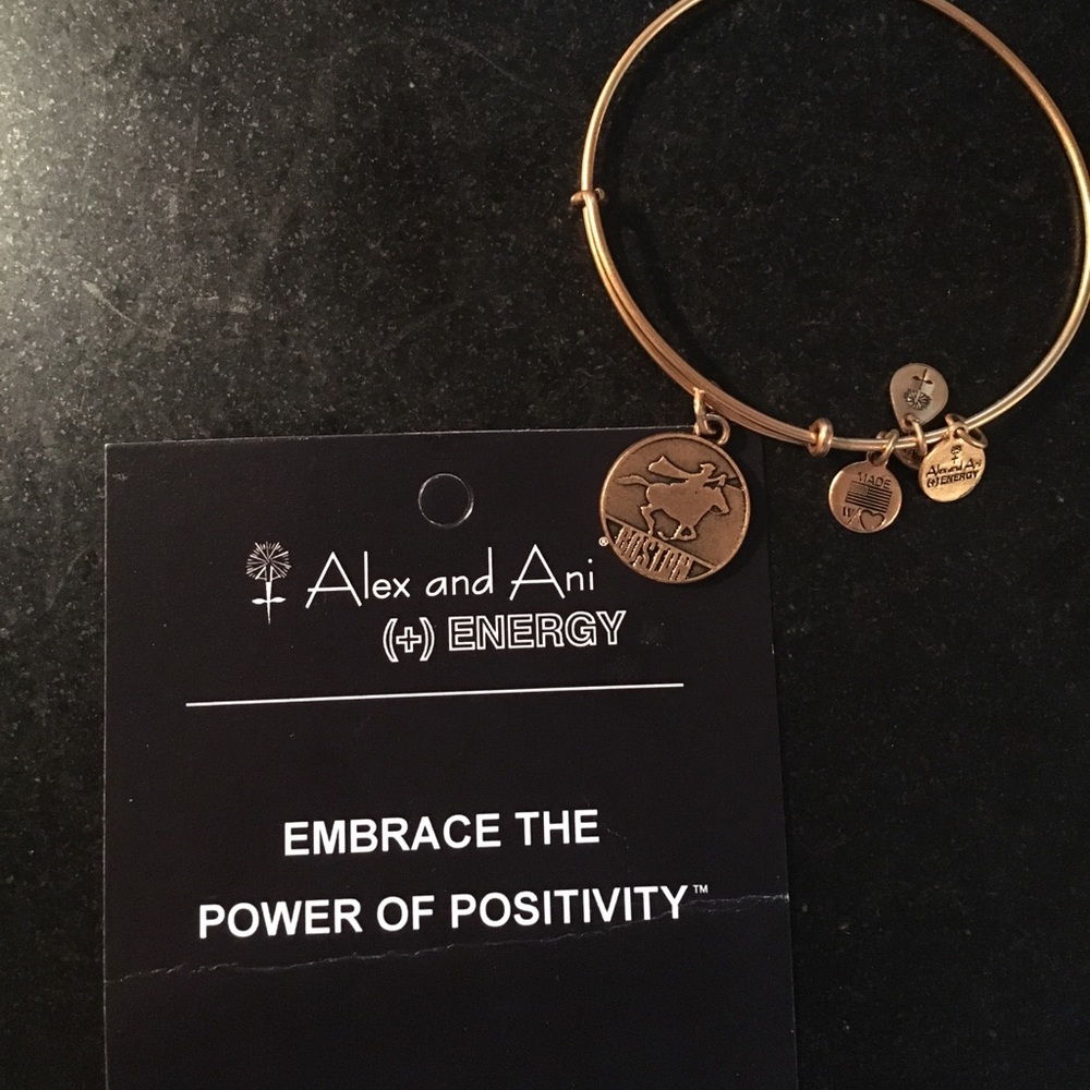 Boston Alex and Ani Gold Bangle