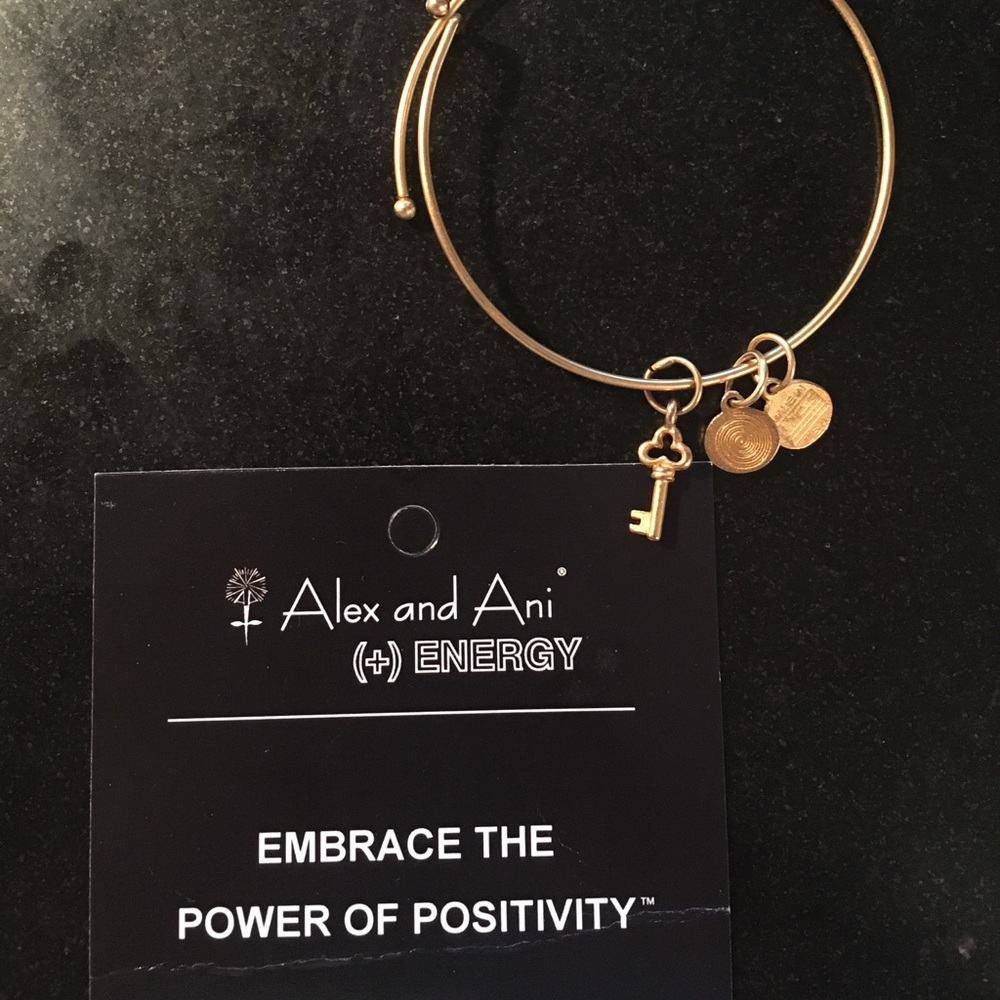 Key Alex and Ani Gold Bangle