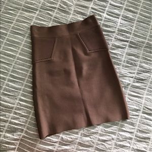 BCBG Bodycon Skirt