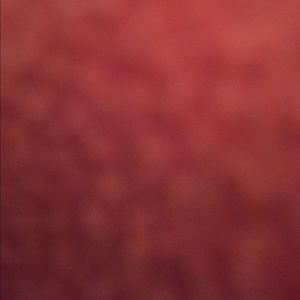 Meet your Posher, Shawnda