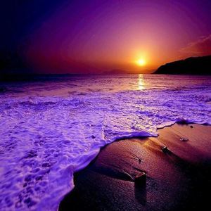 Meet your Posher, Evangeline