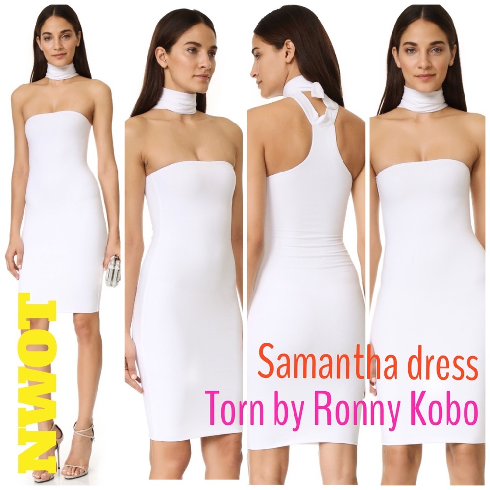 Torn by Ronny Kobo- Samantha dress