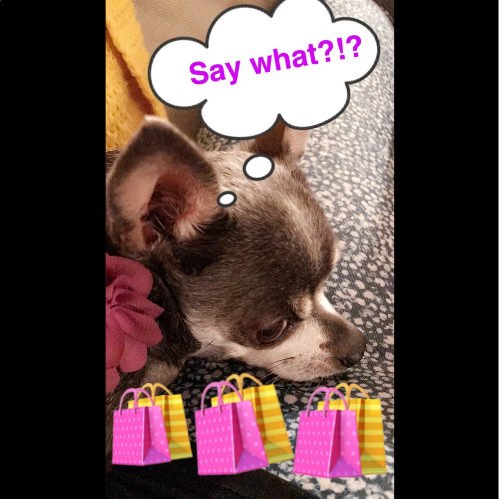 ALRIGHT NOW LADIESSSSSS (or dudes)