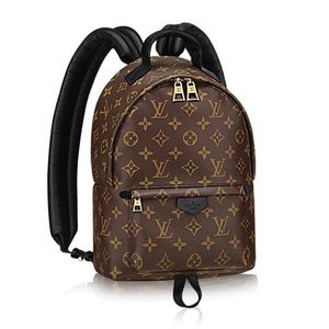 Louis Vuitton Palm Springs PM Bag