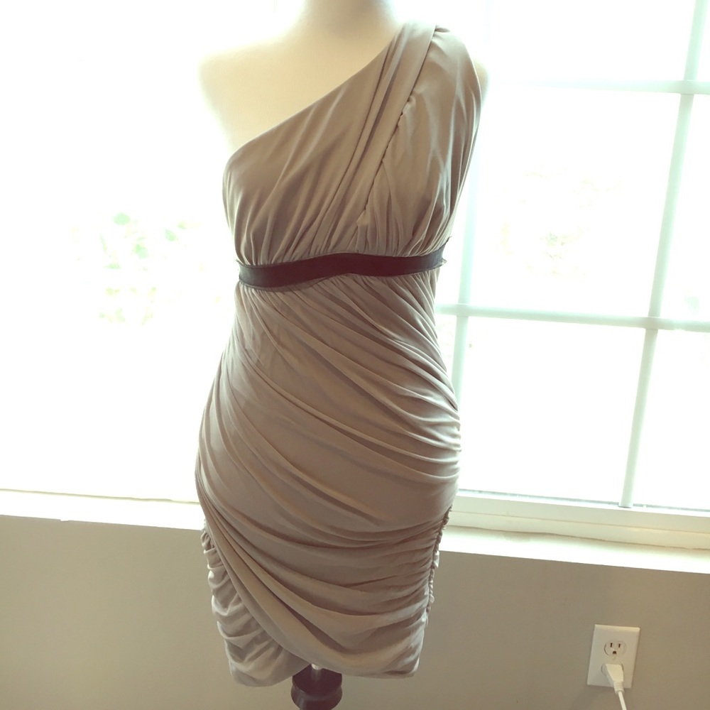 Bcbg max azria one shouldered chiffon dress