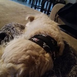 Meet your Posher, Ana