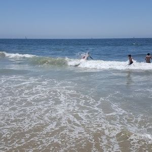 Meet your Posher, Koko