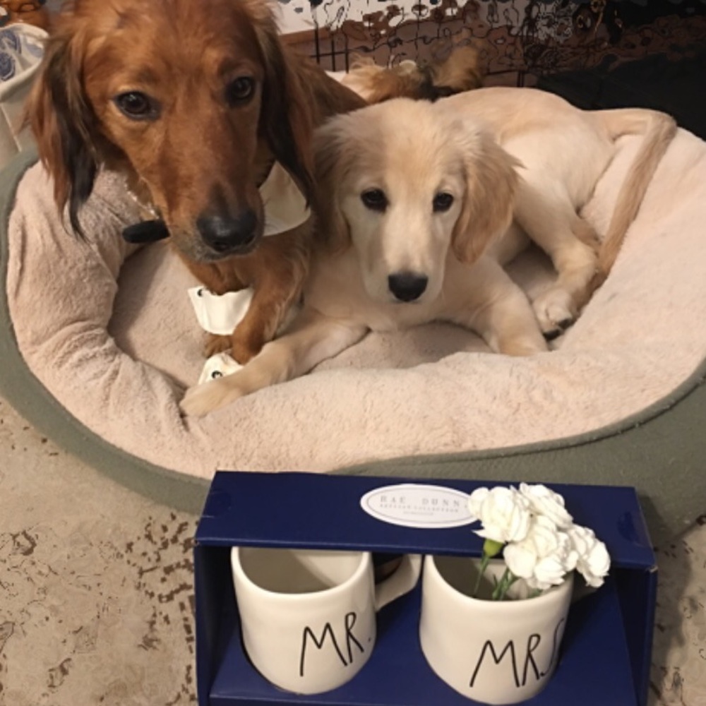 MR. & MRS. Rae Dunn Artisan Collection by Magenta
