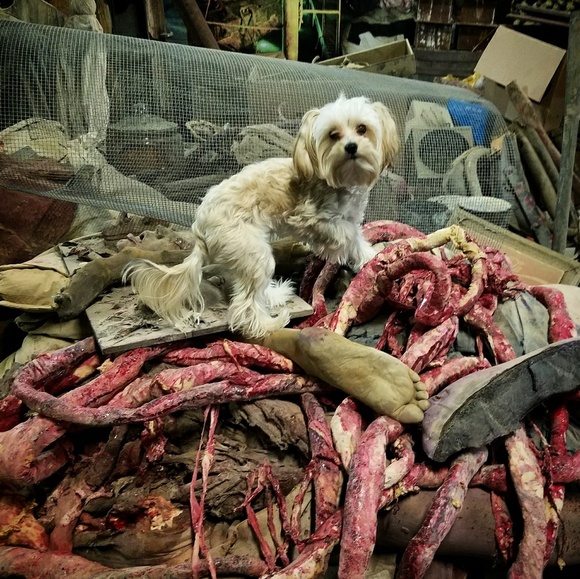 What an excellent day for a closet exorcism! - Picture 2 of 5