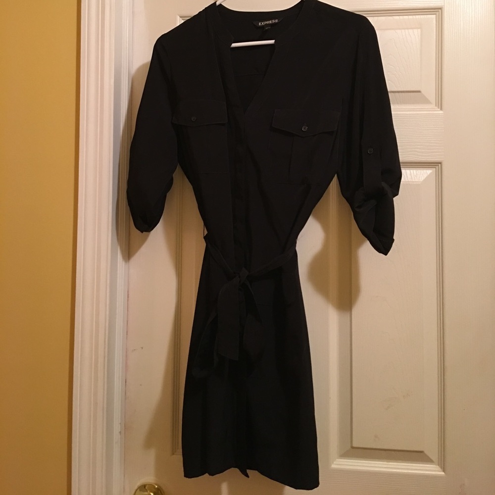 Express silky above knee dress