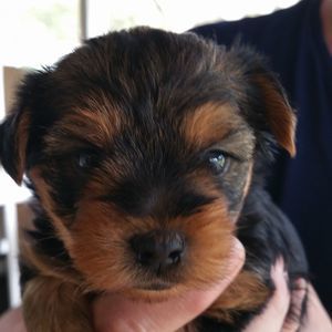 Meet your Posher, Lynn