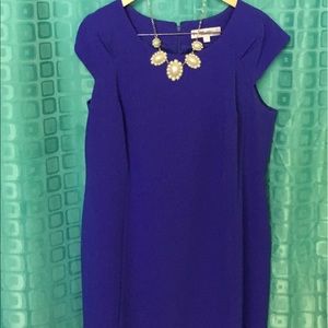 Sheath Dress
