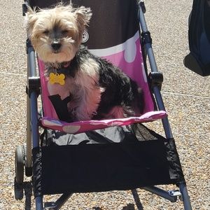 Meet your Posher, Janice