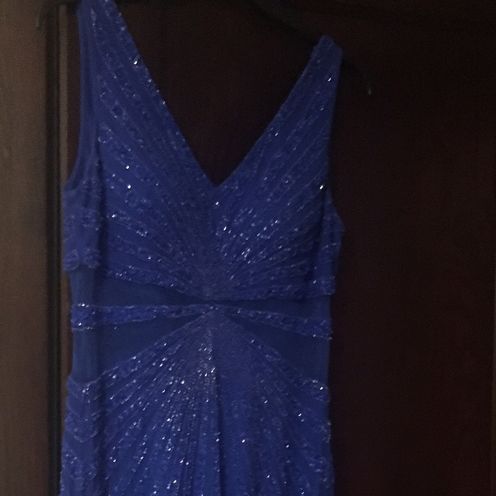 Adriana Papell gorgeous gown worn only once