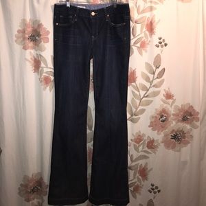 Gap Long and Lean Size 29/8L