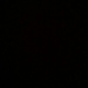 Meet your Posher, Jade