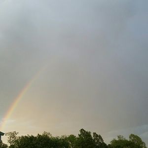 Meet your Posher, Robin