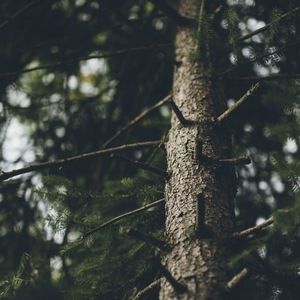 Meet your Posher, Haven