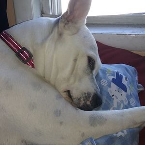 Meet your Posher, Gail