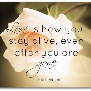 Meet your Posher, Hope