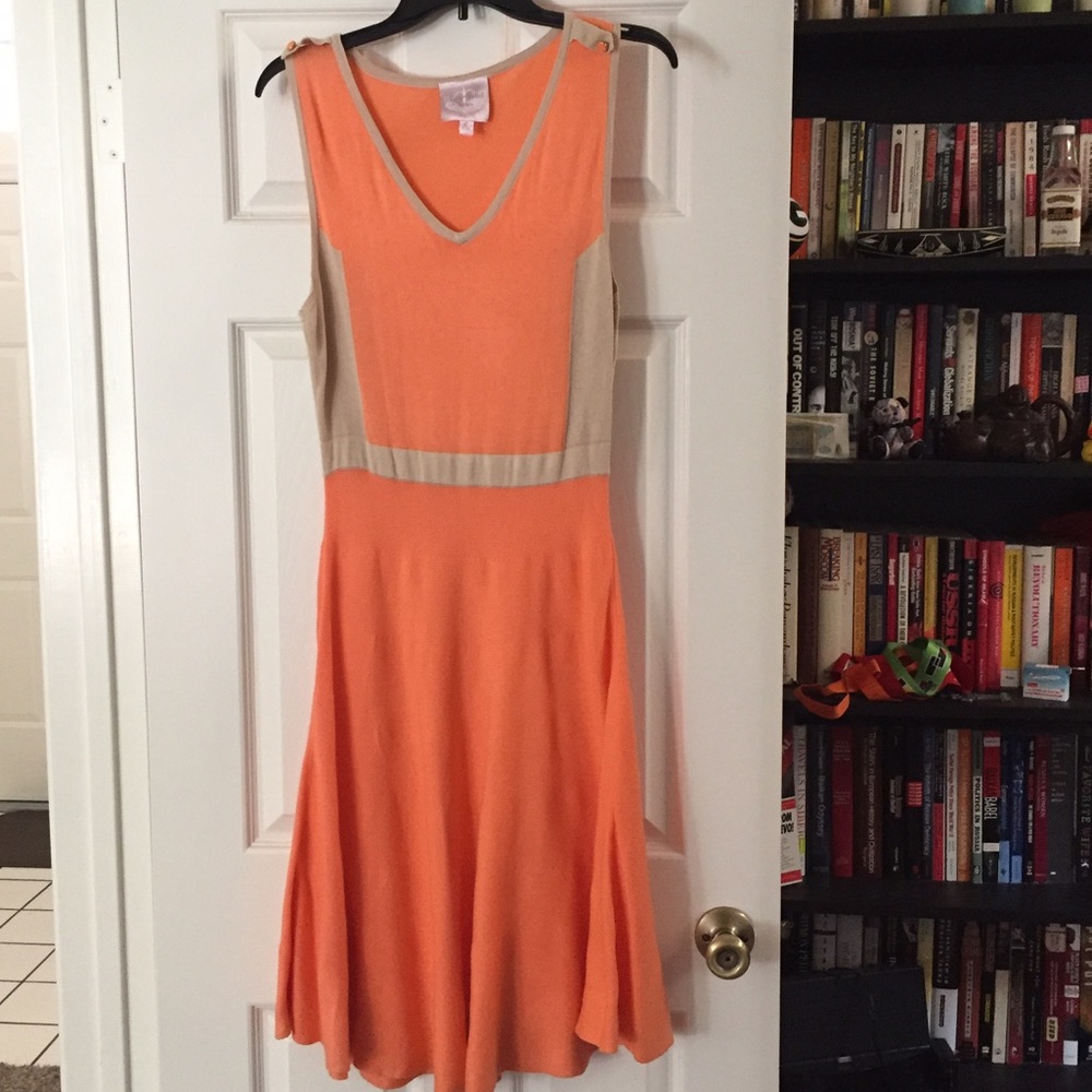 Peach and Beige Dress