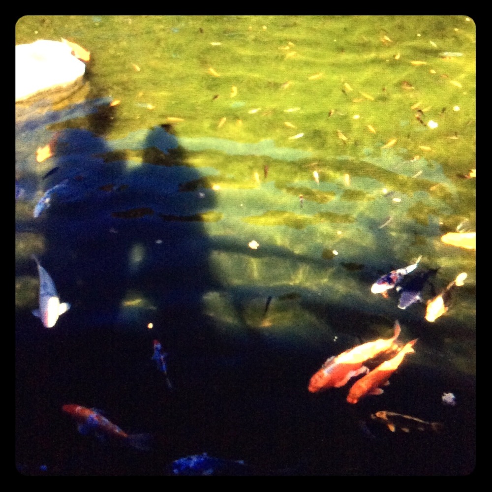 Meet your Posher, Alana