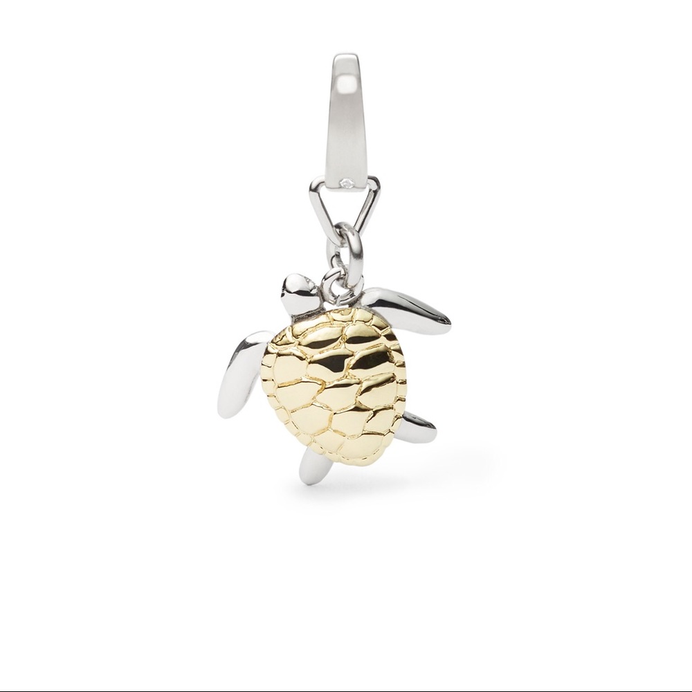 NWT Fossil Turtle two tone Charm