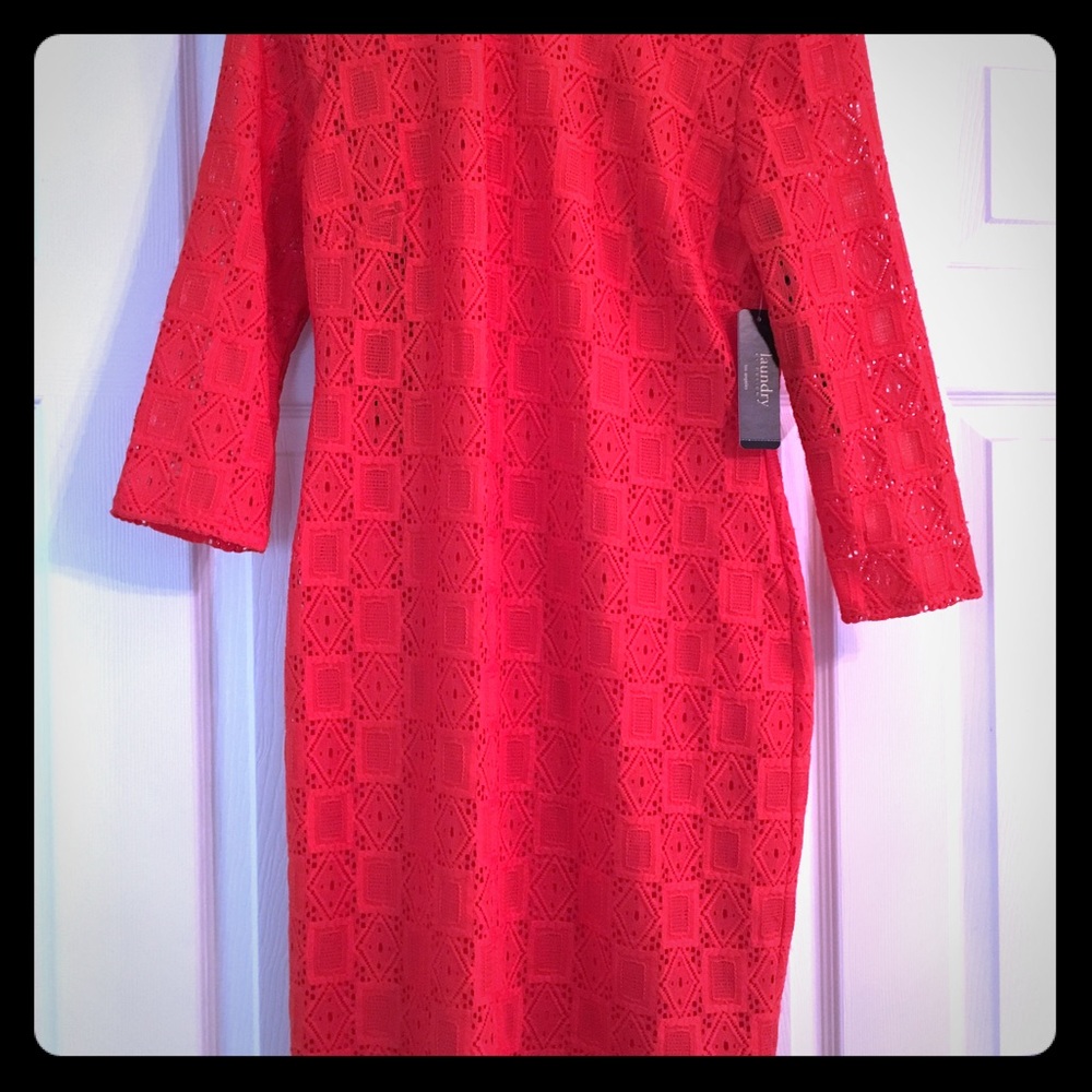 Laundry by Design Orange Knit Dress